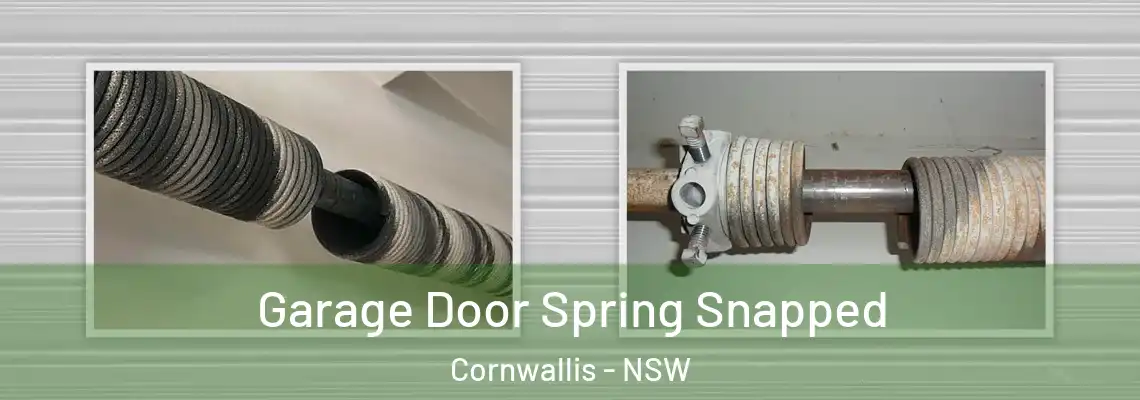  Garage Door Spring Snapped Cornwallis - NSW