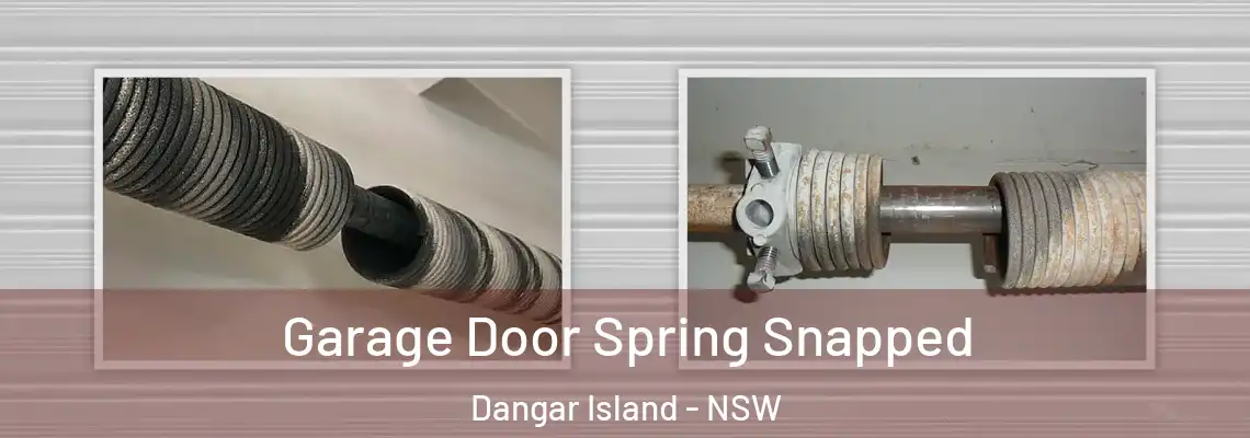  Garage Door Spring Snapped Dangar Island - NSW