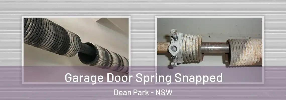  Garage Door Spring Snapped Dean Park - NSW