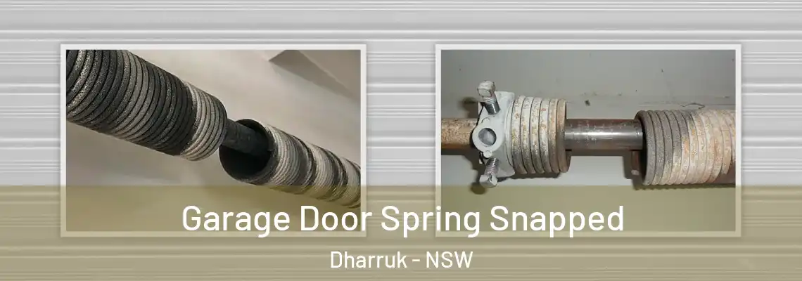  Garage Door Spring Snapped Dharruk - NSW