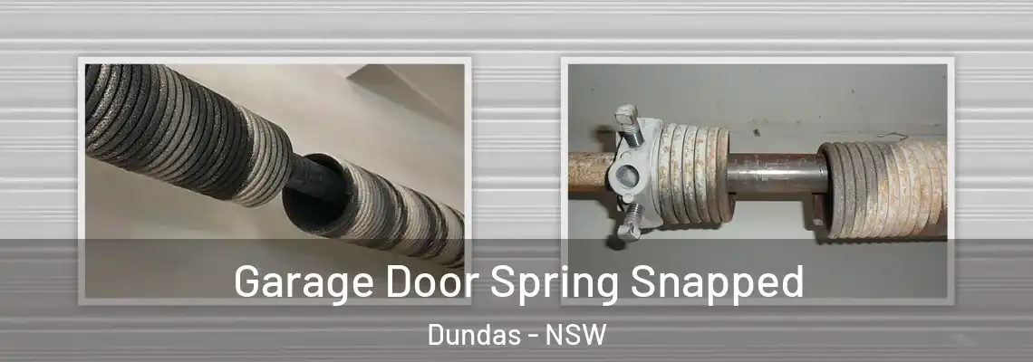  Garage Door Spring Snapped Dundas - NSW