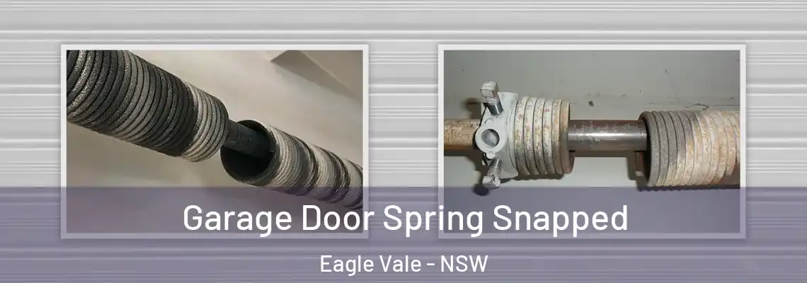  Garage Door Spring Snapped Eagle Vale - NSW