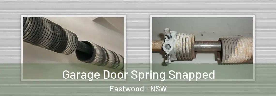  Garage Door Spring Snapped Eastwood - NSW