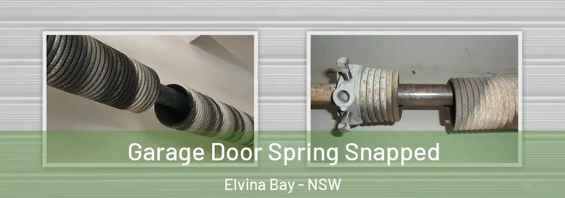  Garage Door Spring Snapped Elvina Bay - NSW