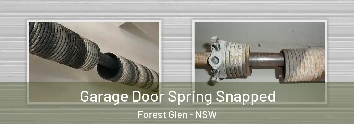  Garage Door Spring Snapped Forest Glen - NSW