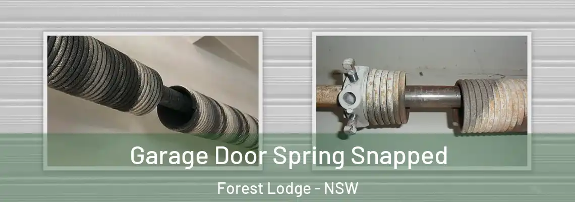  Garage Door Spring Snapped Forest Lodge - NSW