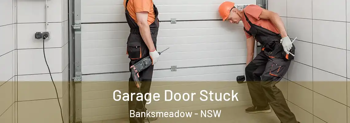  Garage Door Stuck Banksmeadow - NSW
