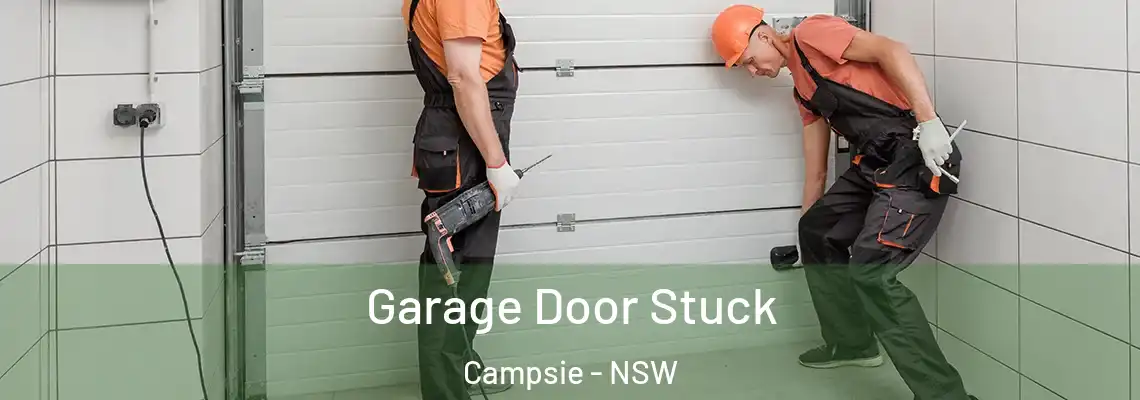  Garage Door Stuck Campsie - NSW