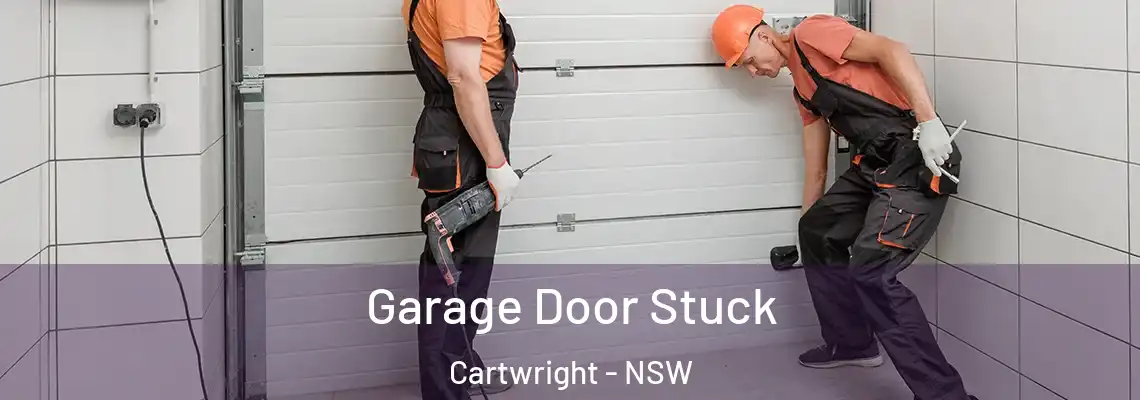  Garage Door Stuck Cartwright - NSW