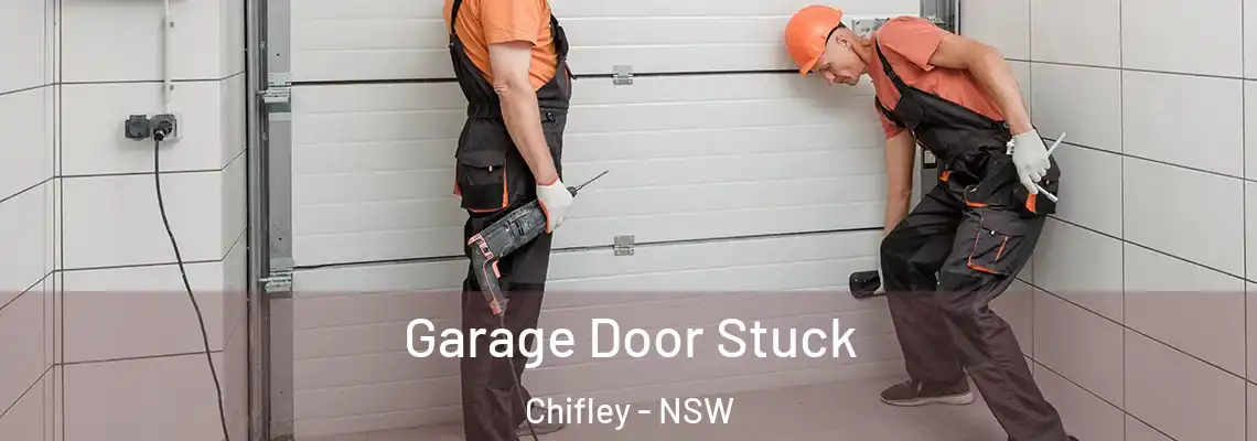  Garage Door Stuck Chifley - NSW