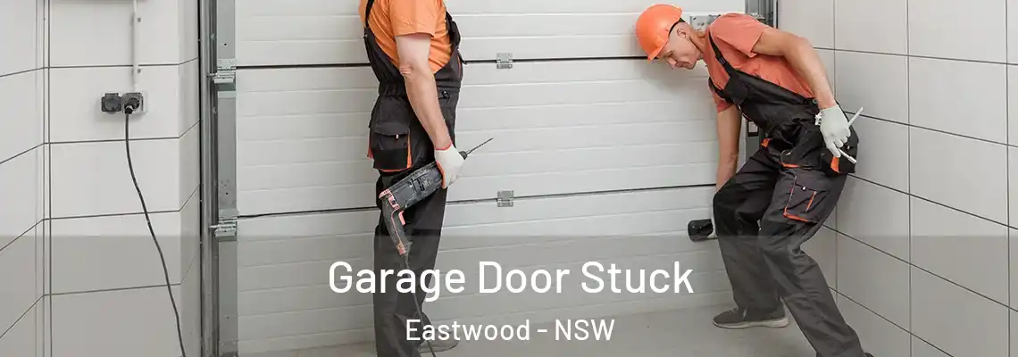  Garage Door Stuck Eastwood - NSW