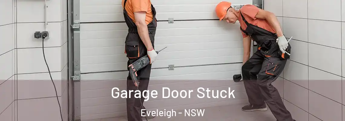  Garage Door Stuck Eveleigh - NSW