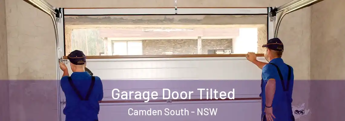  Garage Door Tilted Camden South - NSW