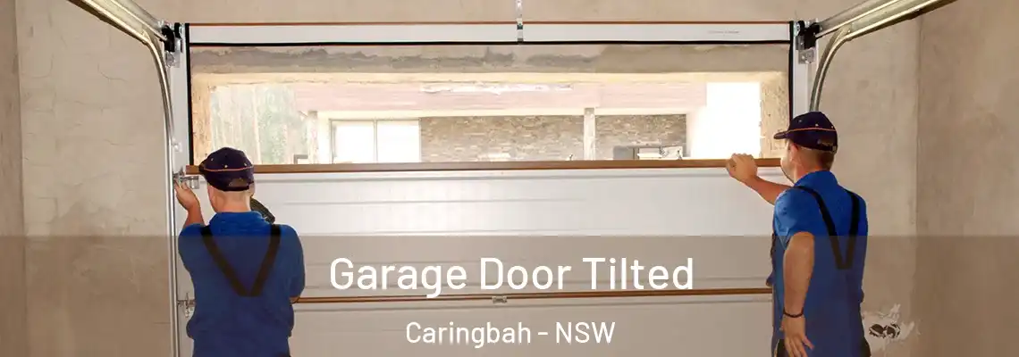  Garage Door Tilted Caringbah - NSW