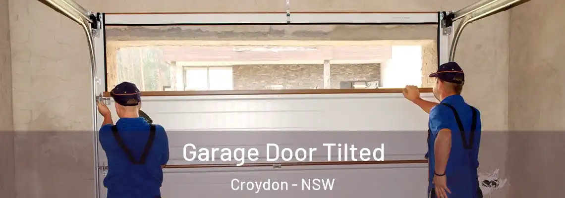 Garage Door Tilted Croydon - NSW