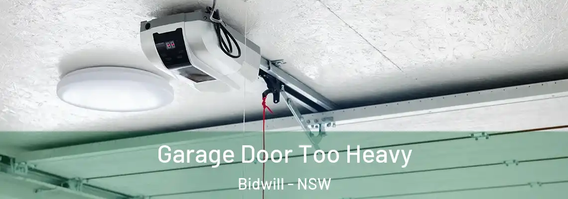  Garage Door Too Heavy Bidwill - NSW