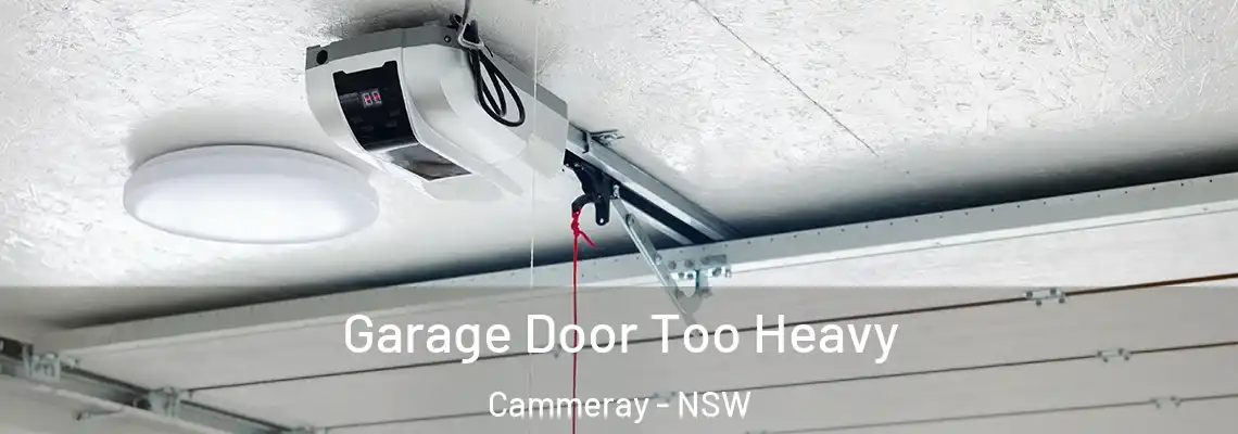  Garage Door Too Heavy Cammeray - NSW
