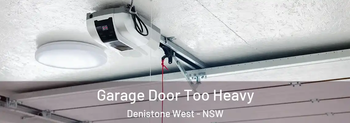  Garage Door Too Heavy Denistone West - NSW