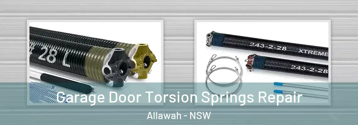  Garage Door Torsion Springs Repair Allawah - NSW