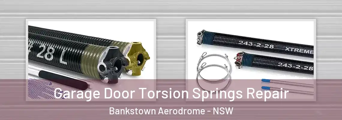  Garage Door Torsion Springs Repair Bankstown Aerodrome - NSW