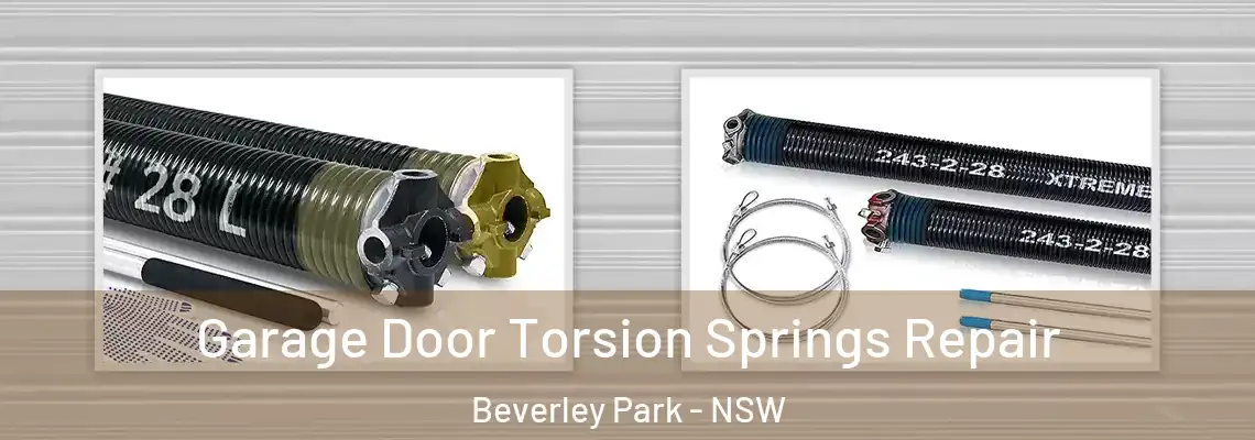  Garage Door Torsion Springs Repair Beverley Park - NSW