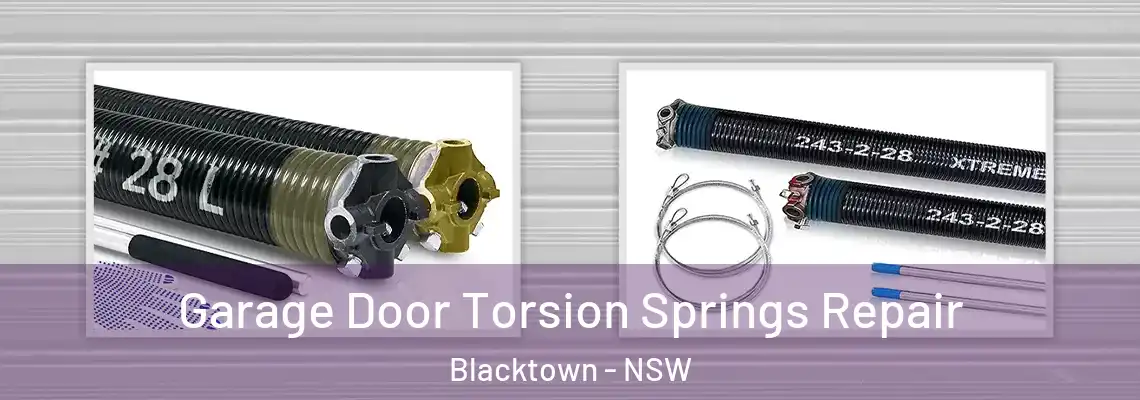  Garage Door Torsion Springs Repair Blacktown - NSW