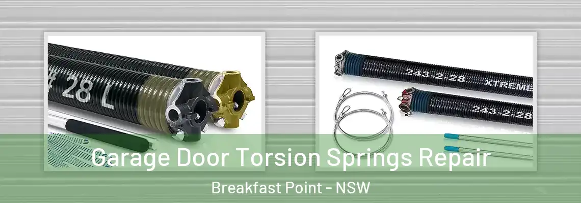  Garage Door Torsion Springs Repair Breakfast Point - NSW