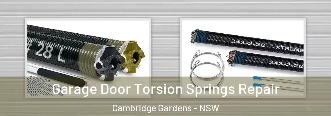  Garage Door Torsion Springs Repair Cambridge Gardens - NSW
