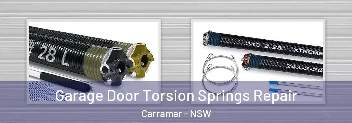  Garage Door Torsion Springs Repair Carramar - NSW
