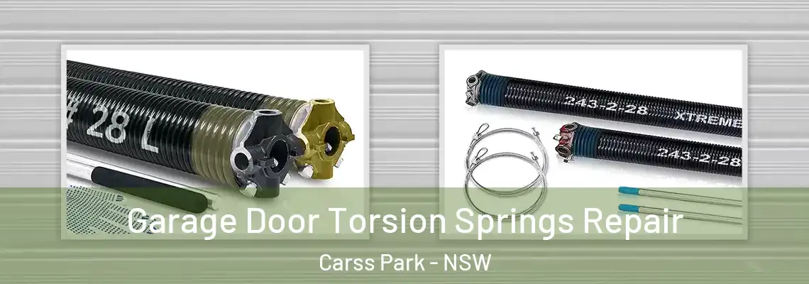  Garage Door Torsion Springs Repair Carss Park - NSW