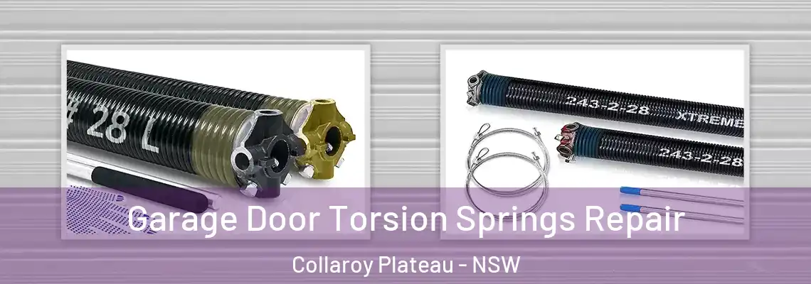 Garage Door Torsion Springs Repair Collaroy Plateau - NSW