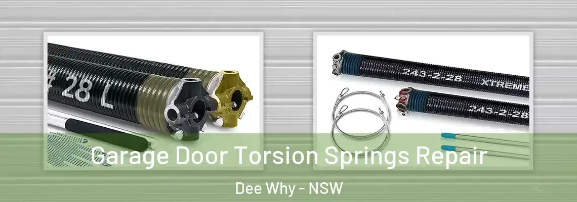  Garage Door Torsion Springs Repair Dee Why - NSW