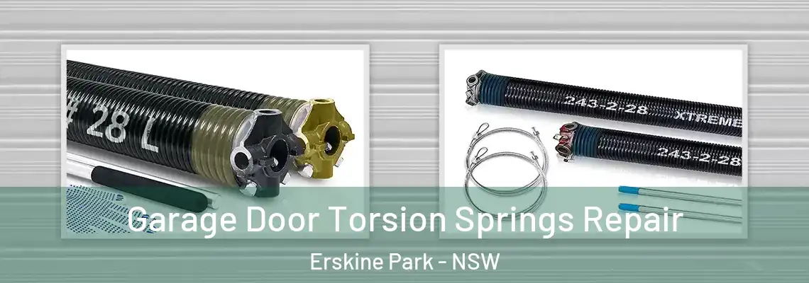  Garage Door Torsion Springs Repair Erskine Park - NSW