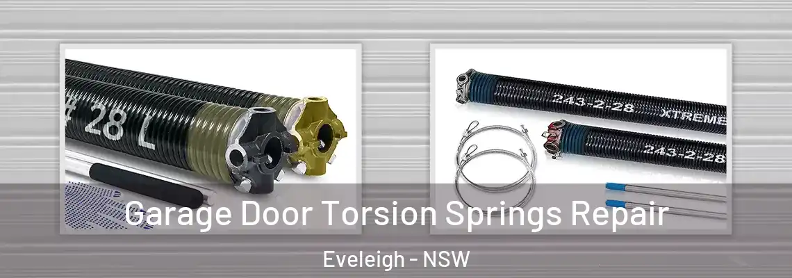  Garage Door Torsion Springs Repair Eveleigh - NSW