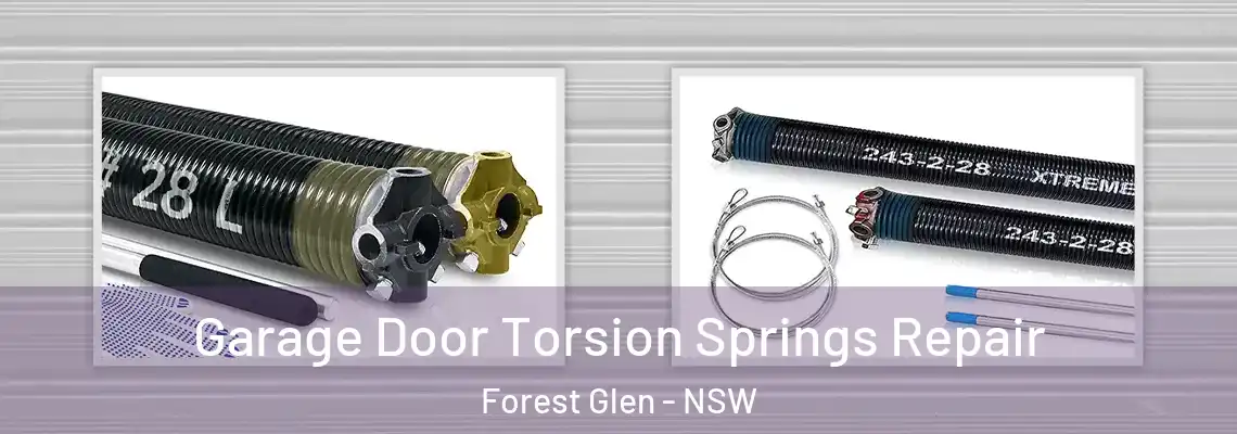  Garage Door Torsion Springs Repair Forest Glen - NSW