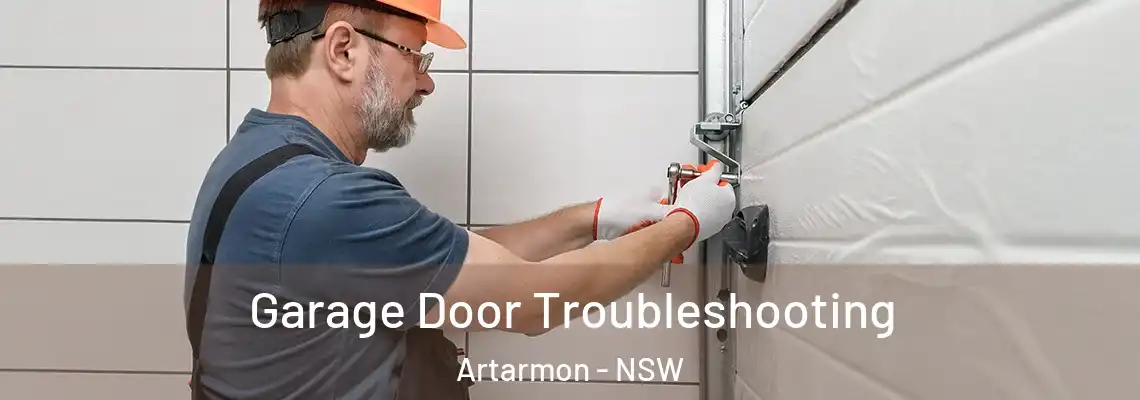  Garage Door Troubleshooting Artarmon - NSW
