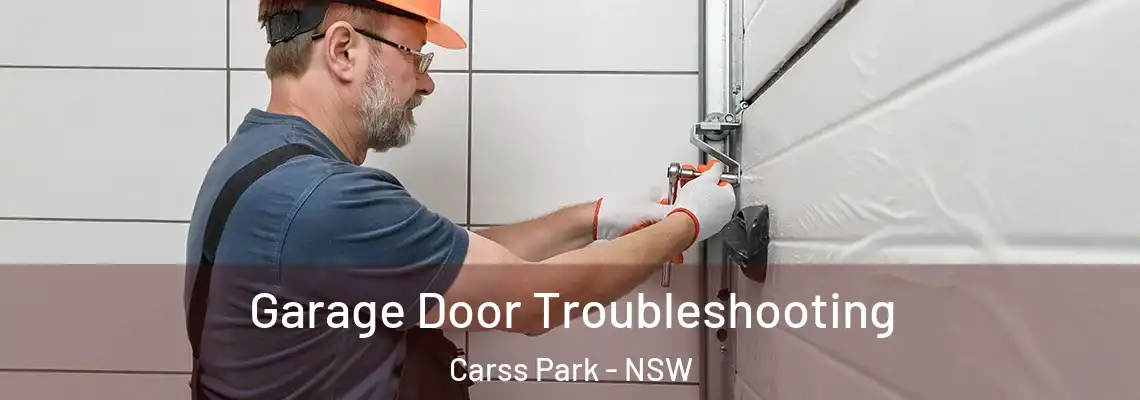  Garage Door Troubleshooting Carss Park - NSW