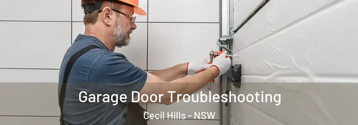  Garage Door Troubleshooting Cecil Hills - NSW