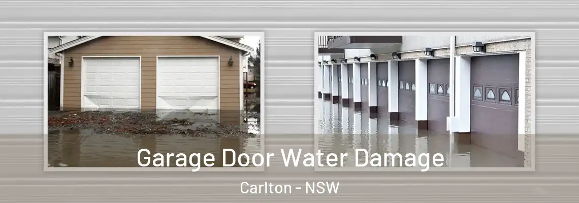  Garage Door Water Damage Carlton - NSW