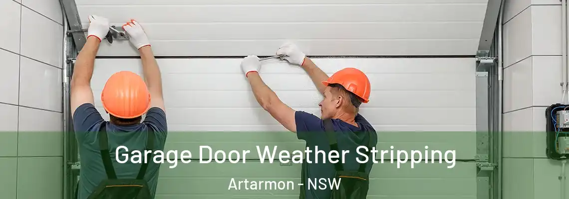  Garage Door Weather Stripping Artarmon - NSW