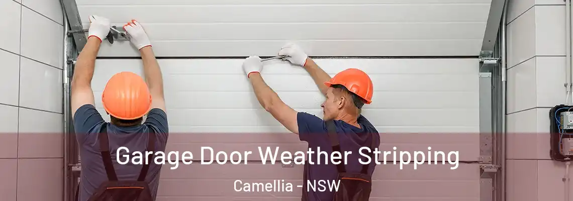  Garage Door Weather Stripping Camellia - NSW