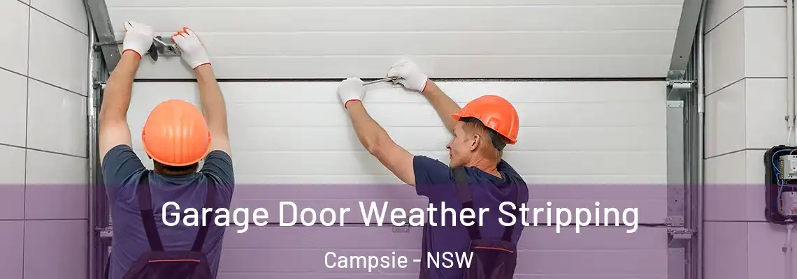  Garage Door Weather Stripping Campsie - NSW