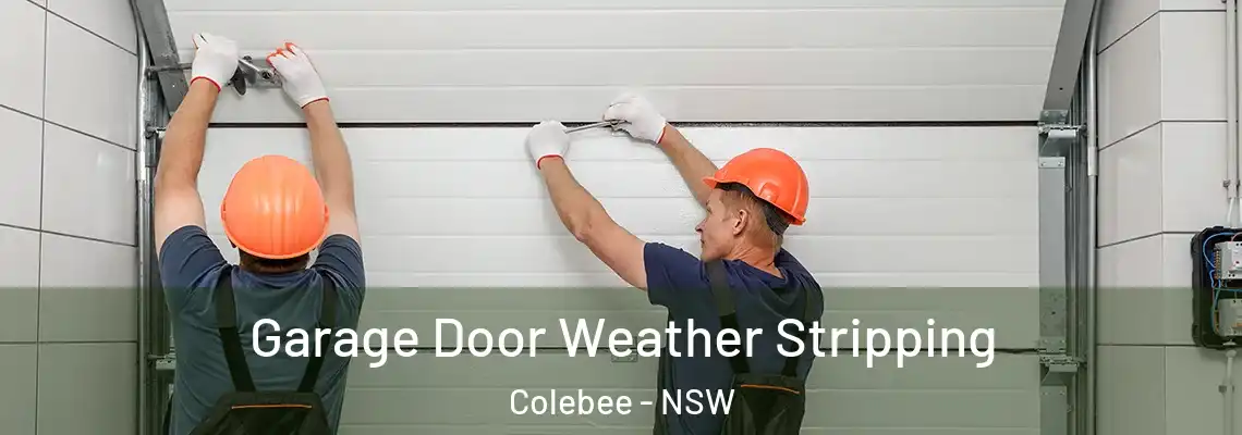  Garage Door Weather Stripping Colebee - NSW