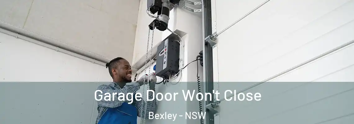  Garage Door Won't Close Bexley - NSW