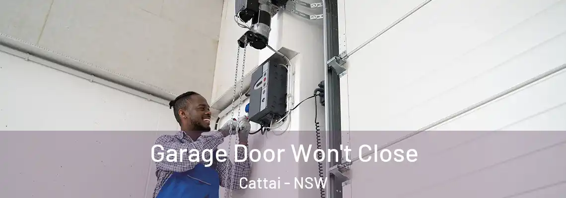  Garage Door Won't Close Cattai - NSW