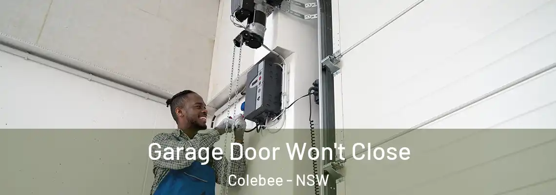 Garage Door Won't Close Colebee - NSW