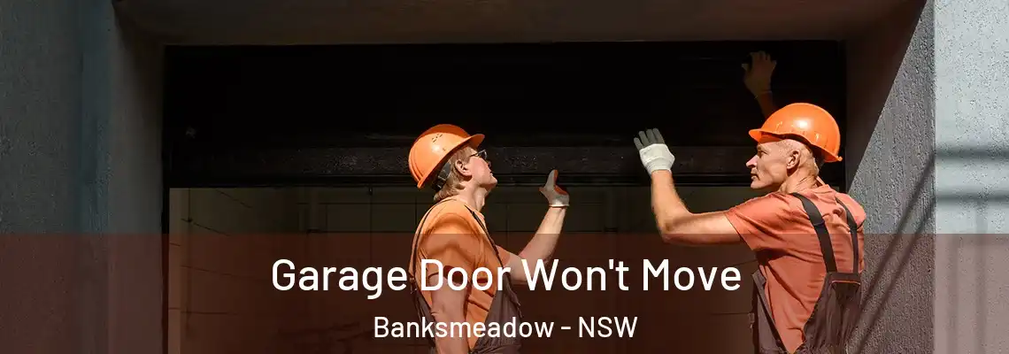  Garage Door Won't Move Banksmeadow - NSW
