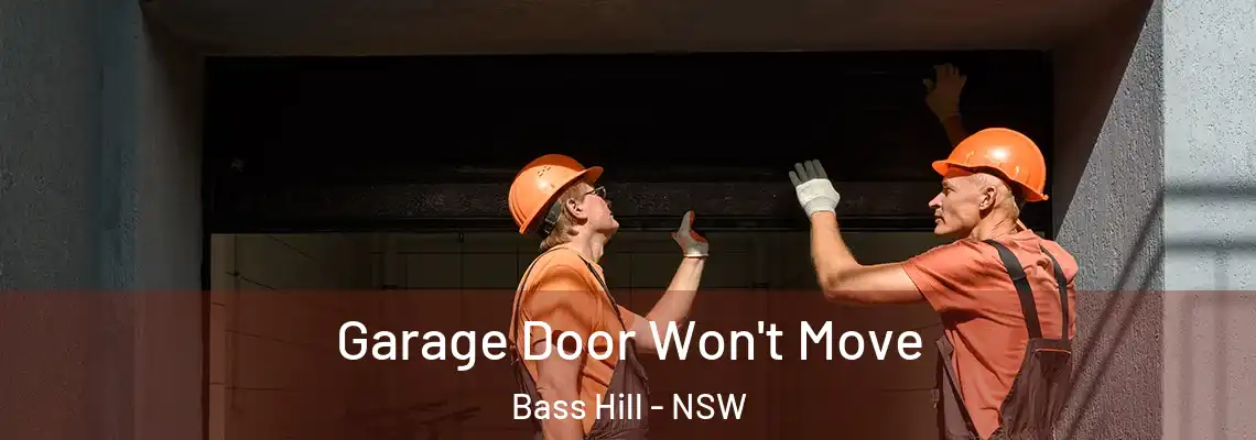  Garage Door Won't Move Bass Hill - NSW