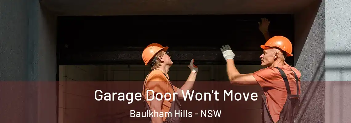  Garage Door Won't Move Baulkham Hills - NSW
