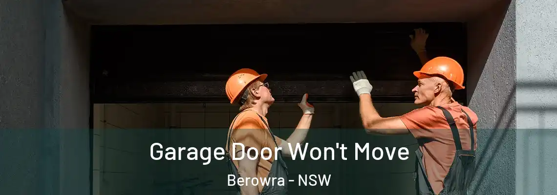  Garage Door Won't Move Berowra - NSW